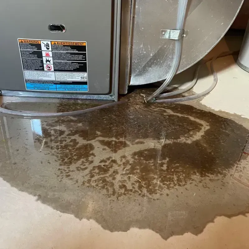 Appliance Leak Cleanup in Upper Marlboro, MD